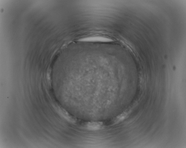 X0000083990373200703021946