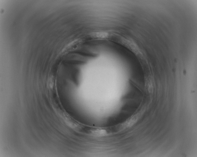 X0000083990374200703021946