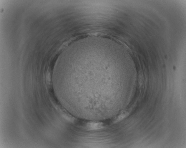 X0000083990375200703021946