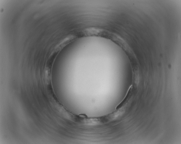 X0000083990378200703021946