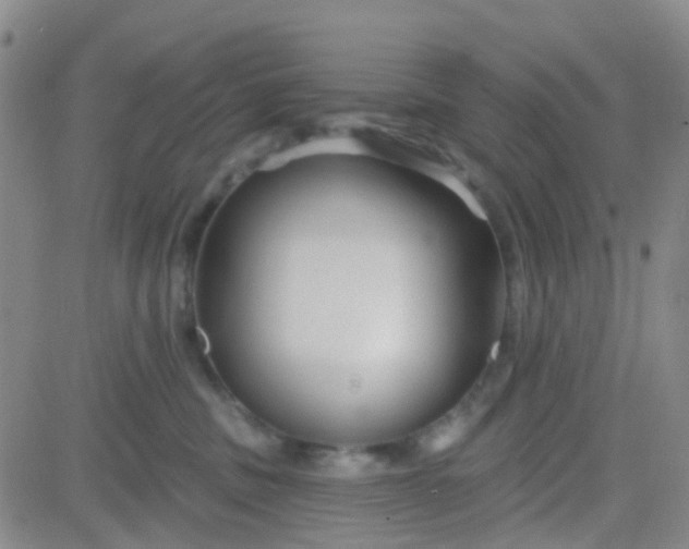 X0000083990379200703021946