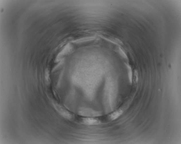 X0000083990380200703021946