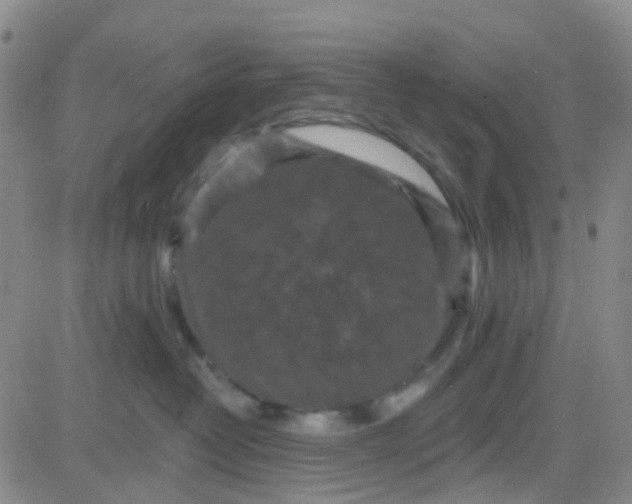 X0000083990382200703021946