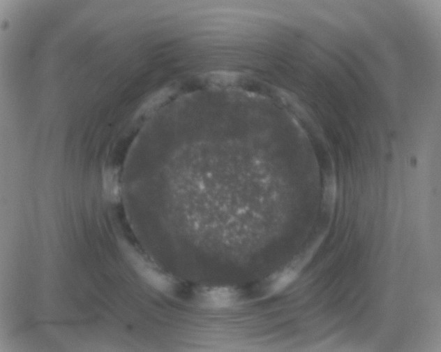 X0000083990383200703021946