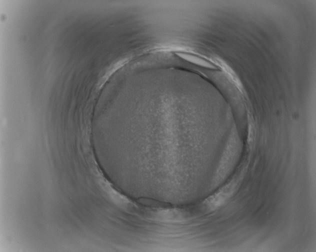 X0000083990385200703021945