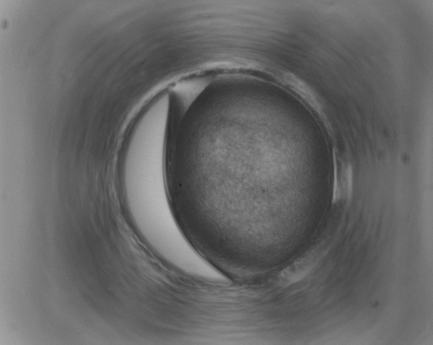 X0000083990387200703021945