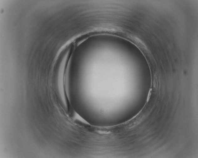 X0000083990388200703021945