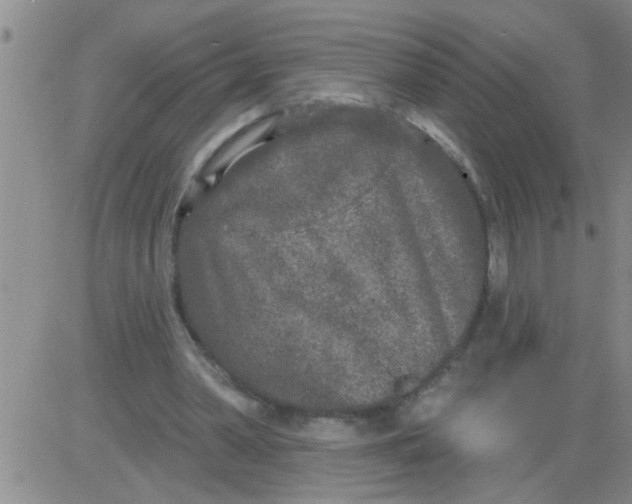 X0000083990390200703021945