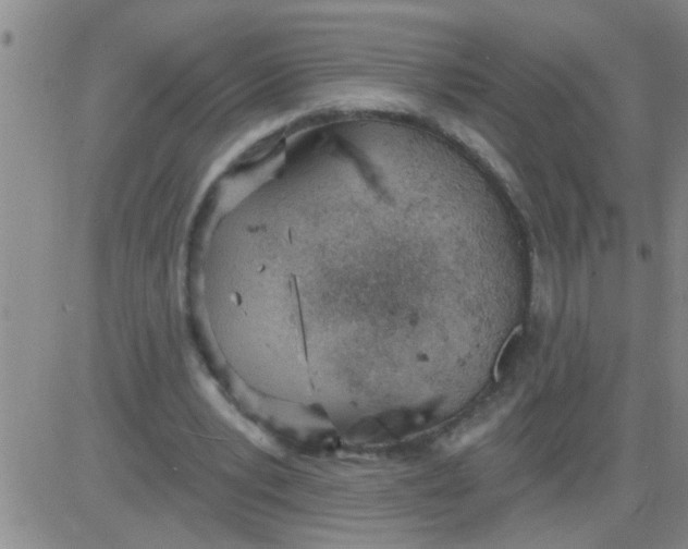 X0000083990391200703021945