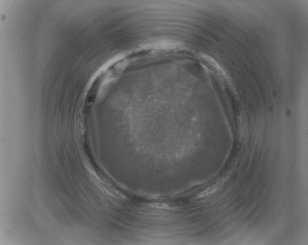 X0000083990392200703021945