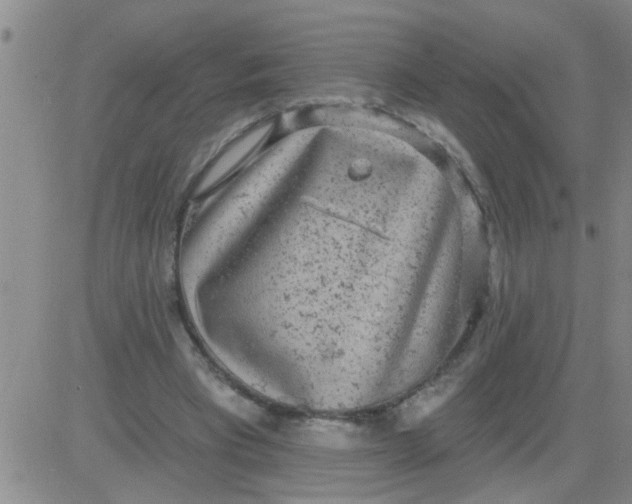 X0000083990393200703021945