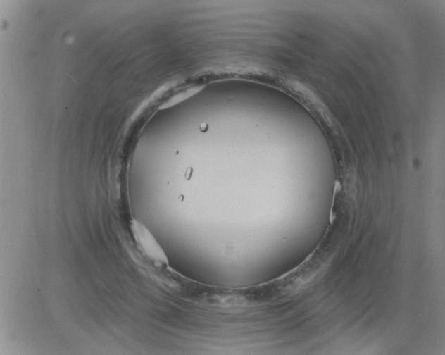 X0000083990395200703021945