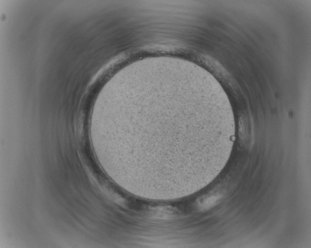 X0000083990396200703021945