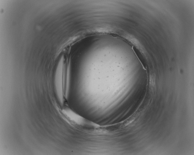 X0000083990397200703021945