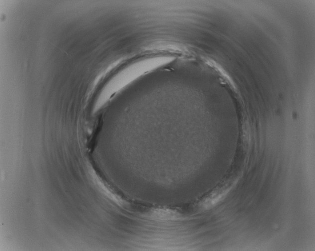 X0000083990399200703021945