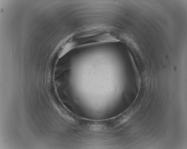 X0000083990400200703021945