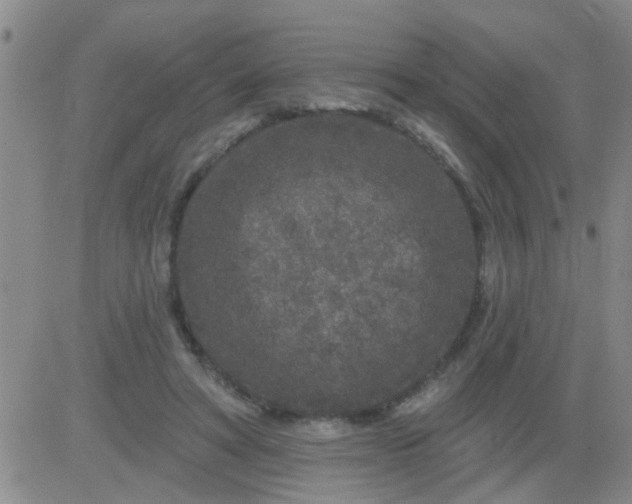 X0000083990402200703021945