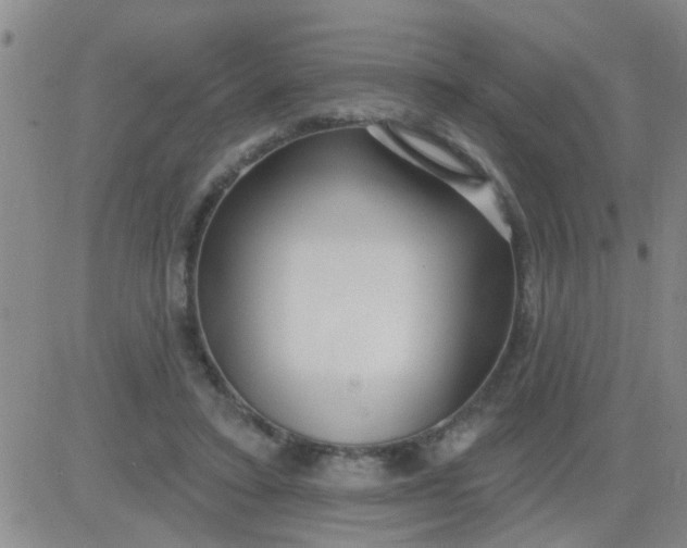 X0000083990403200703021945