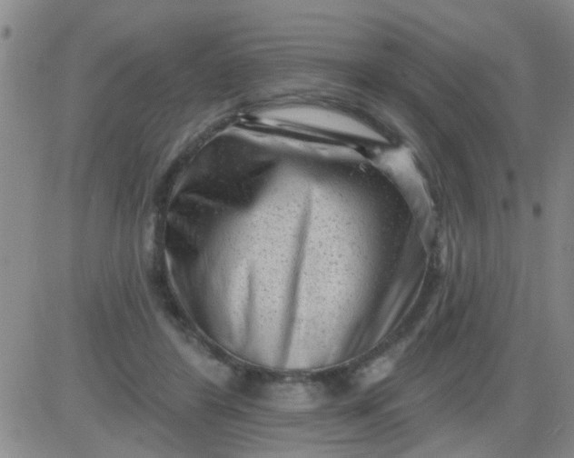 X0000083990404200703021945