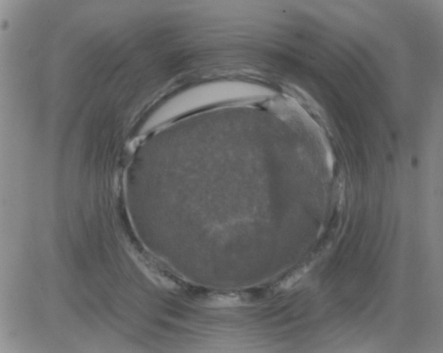 X0000083990405200703021945