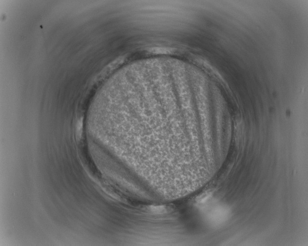 X0000083990406200703021945