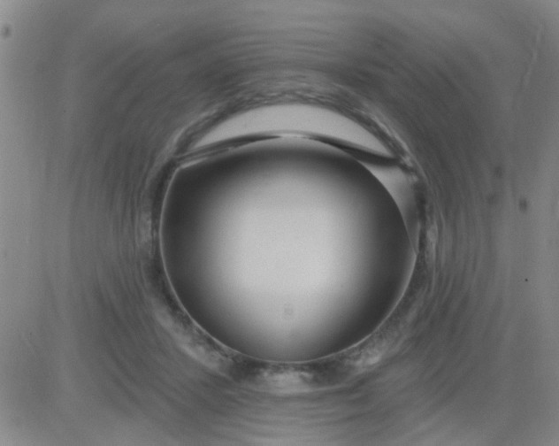 X0000083990407200703021945