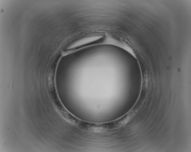 X0000083990408200703021945