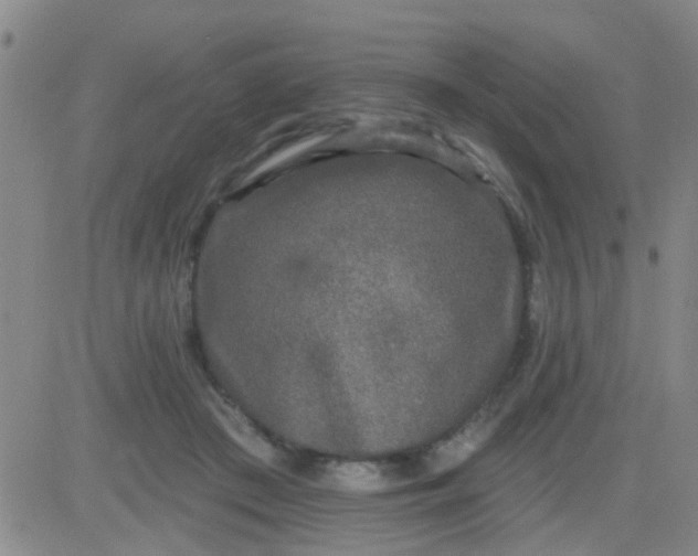 X0000083990409200703021944