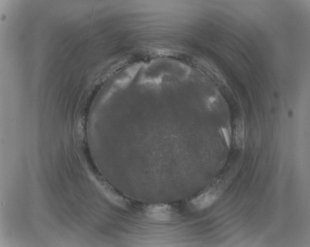 X0000083990410200703021944