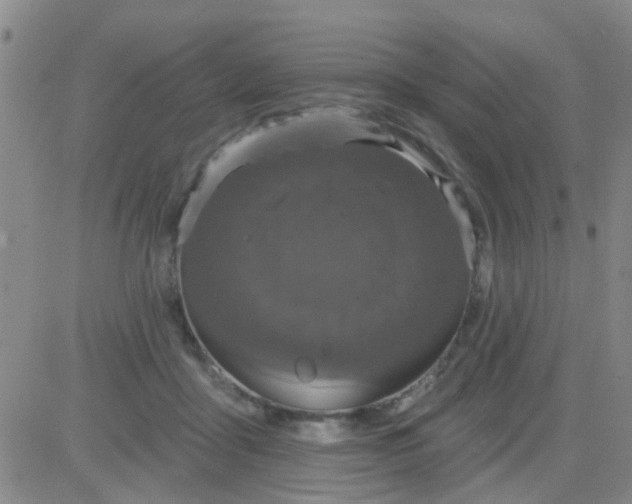 X0000083990411200703021944