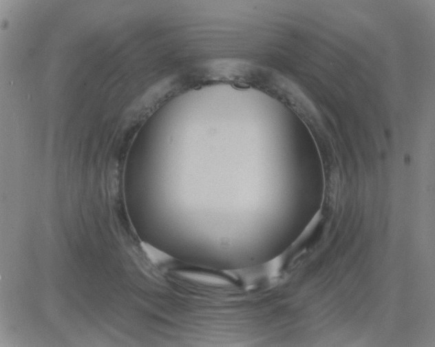 X0000083990413200703021944