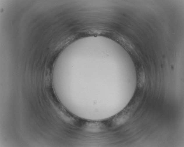 X0000083990414200703021944