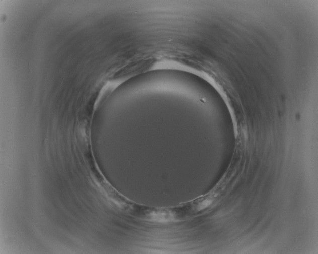 X0000083990415200703021944