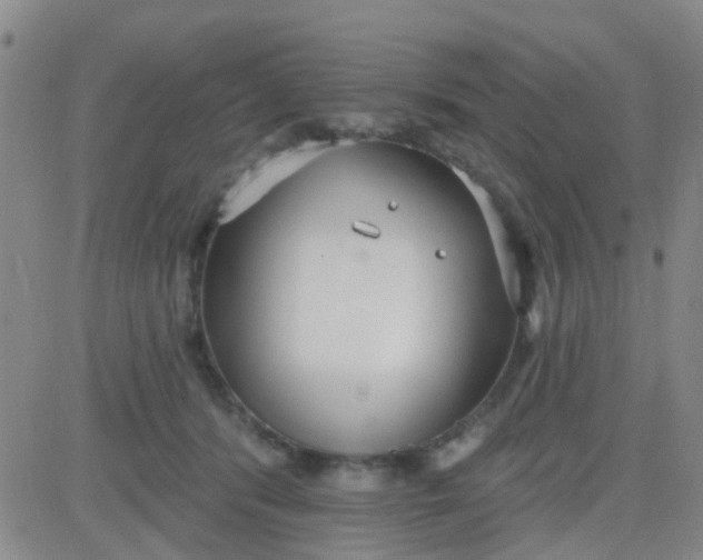 X0000083990416200703021944