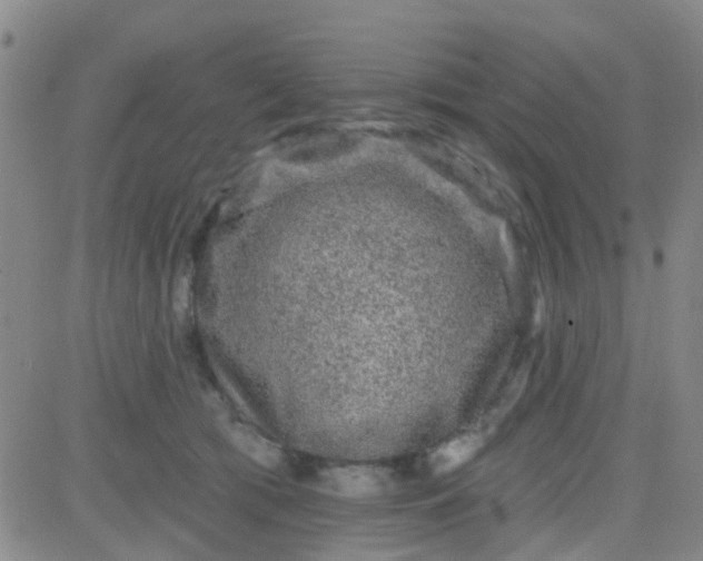 X0000083990417200703021944