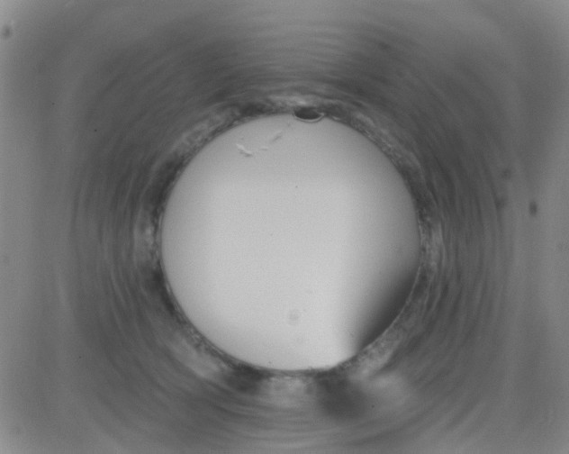 X0000083990418200703021944