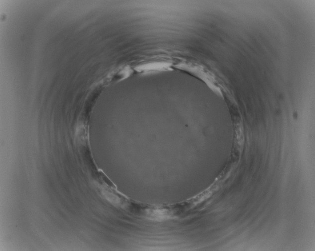 X0000083990419200703021944