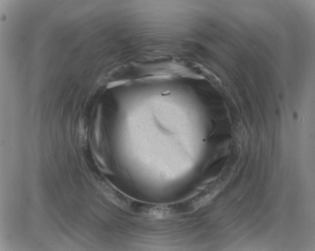 X0000083990420200703021944