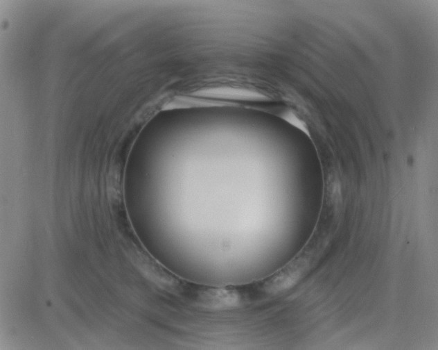 X0000083990421200703021944