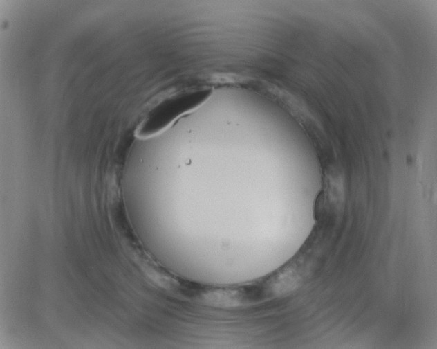 X0000083990422200703021944