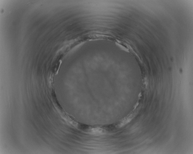 X0000083990423200703021944