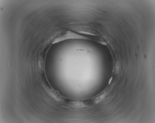 X0000083990424200703021944