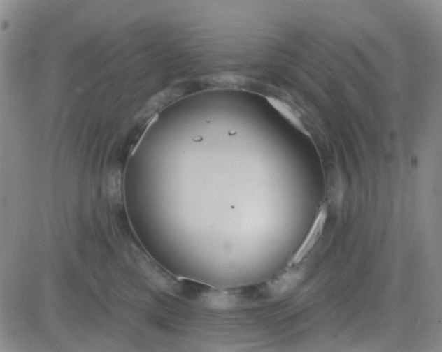 X0000083990425200703021944