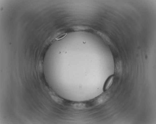 X0000083990426200703021944