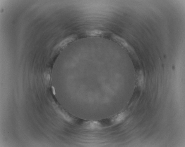 X0000083990427200703021944