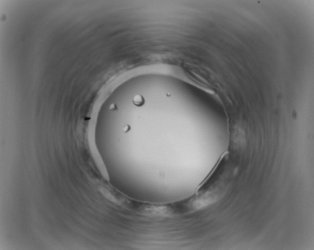 X0000083990428200703021944