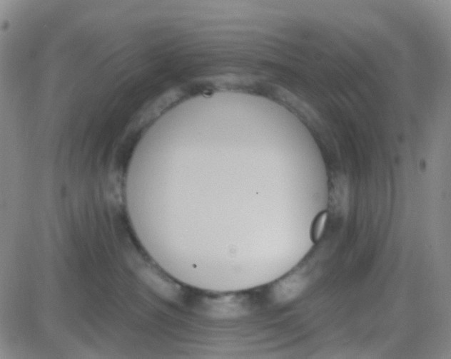 X0000083990430200703021944