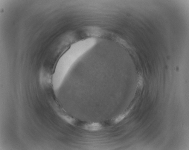 X0000083990431200703021944