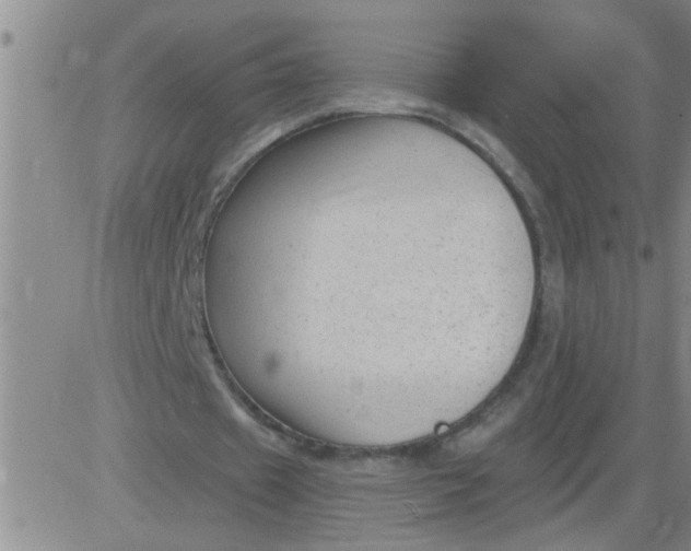 X0000083990433200703021943