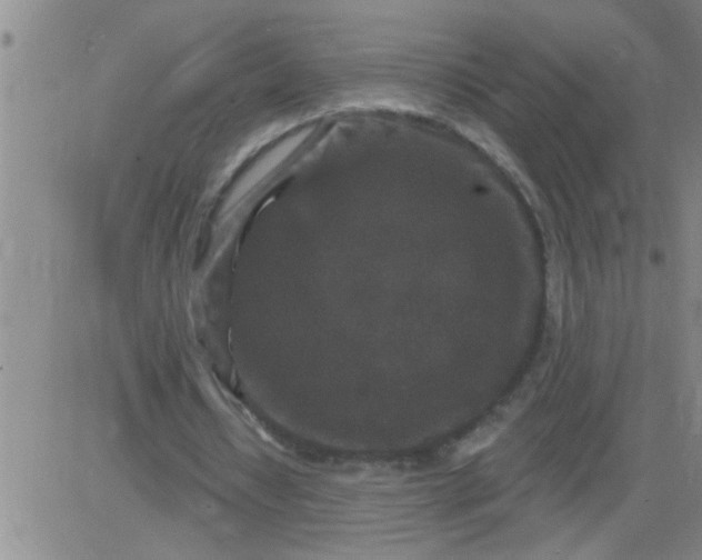 X0000083990434200703021943